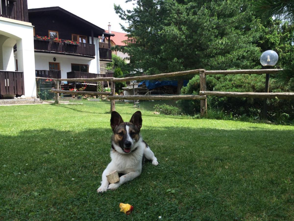Penzion Pazicky Stará Lesná Exterior foto